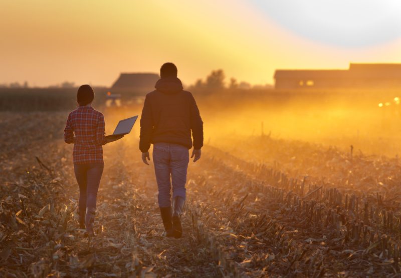 Mal-être, suicides dans le milieu agricole : la parole se libère