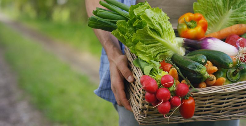 Le gouvernement annonce un chèque alimentaire de 100 euros pour les foyers les plus modestes