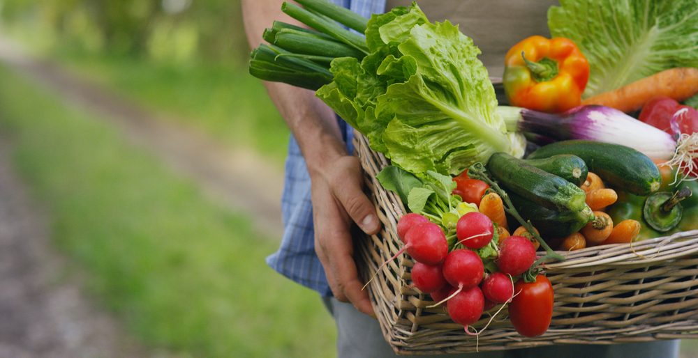 Basket,With,Vegetables,(cabbage,,Carrots,,Cucumbers,,Radish,And,Peppers),In