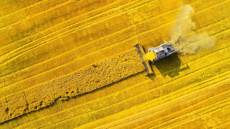 Il est temps pour l’Europe d’agir pour la restauration de la nature