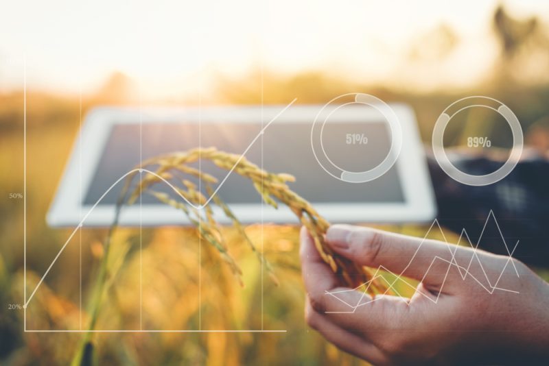 Des groupes de pression mettent en garde contre les « incertitudes majeures » entourant la réforme des statistiques agricoles