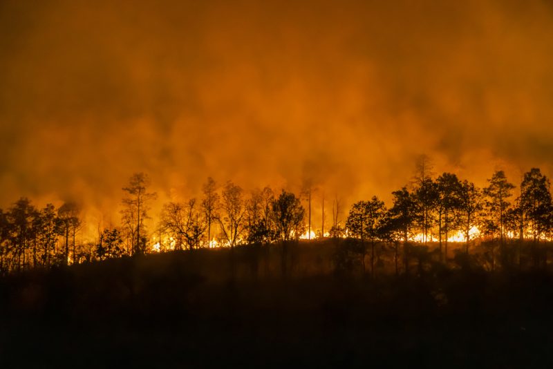 Lutte contre les incendies : les pays européens se serrent les coudes