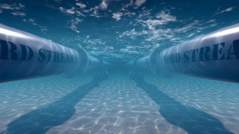 Les explosions de Nord Stream ont conduit à une « catastrophe écologique », selon un rapport