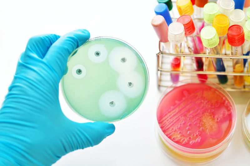 L'UE fait de la résistance aux antimicrobiens une priorité absolue, l'OMS appelle à la mise au point d'un vaccin