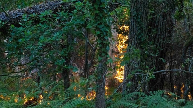 Les incendies dans le sud-ouest toujours incontrôlables