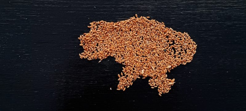 Guerre en Ukraine : les experts mettent en garde contre de possibles cyberattaques contre le secteur agricole ukrainien