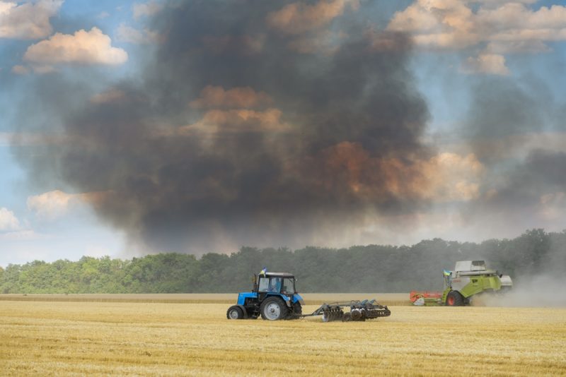 Les marchés agricoles à présent confrontés à la baisse attendue des récoltes en Ukraine