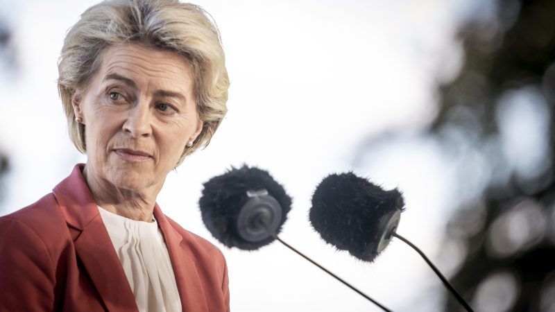 LEAK : l'UE entre plafonnement des prix du gaz et zones de tarification différenciées