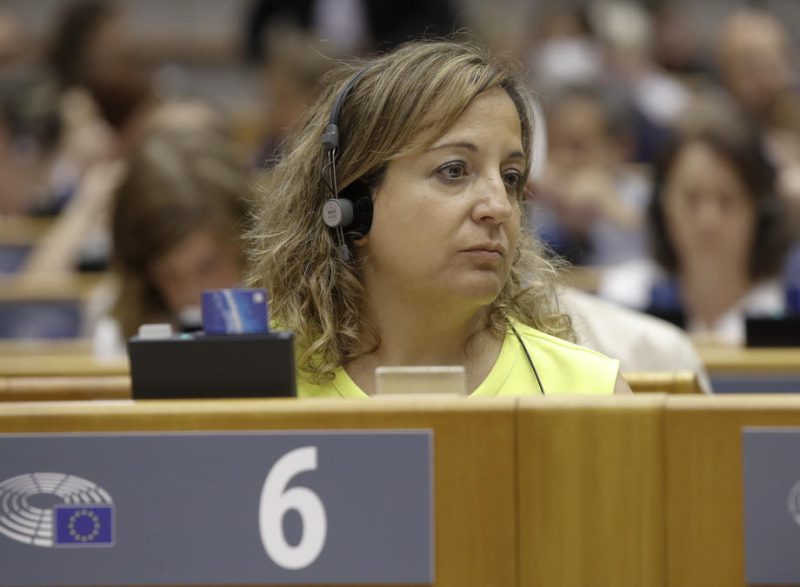 La cheffe du groupe socialiste européen dénonce l'absence de feuille de route sur l'avenir de l'Europe