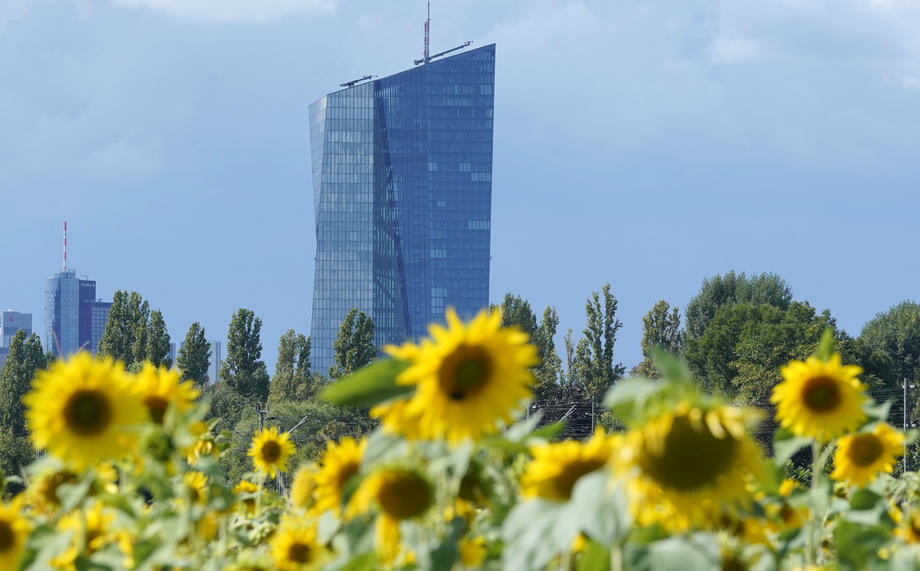 European Central Bank Governing Council meeting