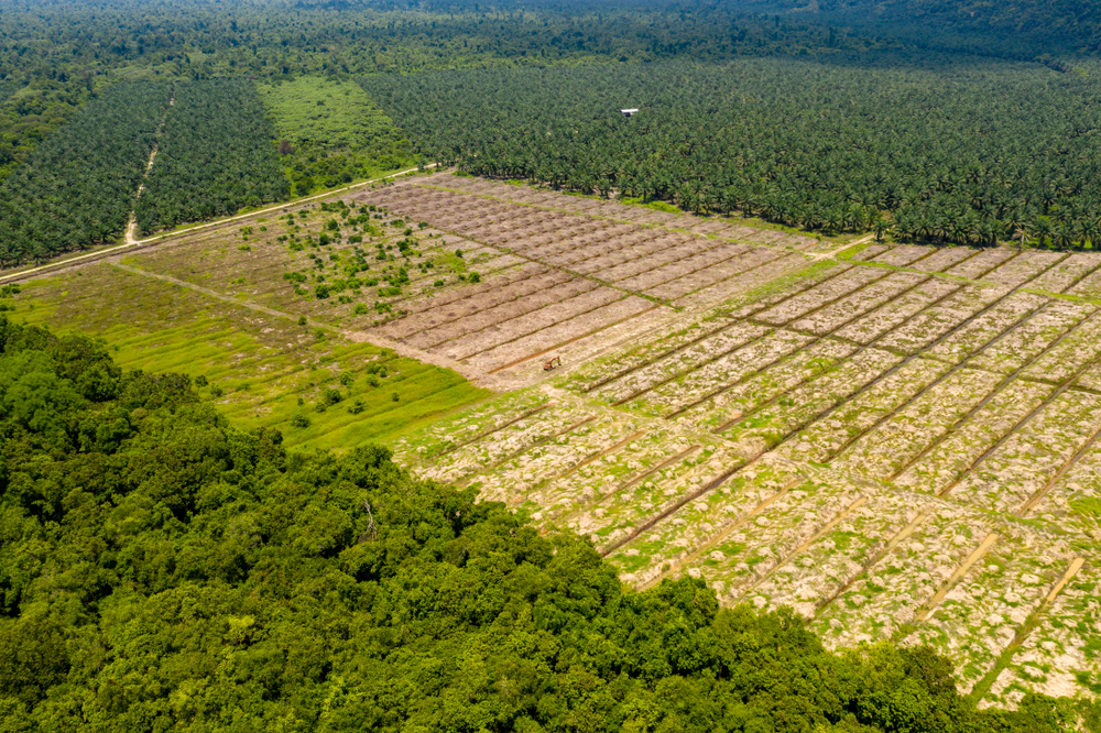 Aerial,Drone,View,Of,Large,Scale,Deforestation,In,The,Rainforest