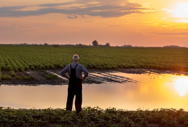 Les eurodéputés appellent à une initiative en faveur de la santé mentale dans l’agriculture