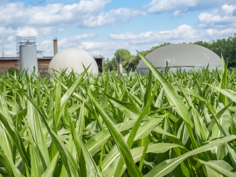 Les lois allemandes empêchent le biogaz de remplacer les importations russes, selon l'industrie