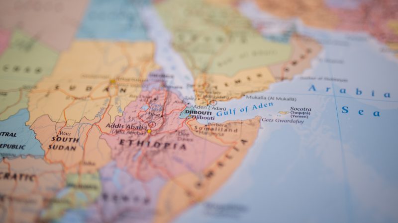 L'UE doit renforcer l'aide humanitaire dans la Corne de l'Afrique en proie à la famine