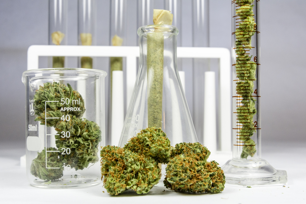 Science,,Safety,,Research,,Technology,And,Cannabis,-,The,Increasingly,Legal,