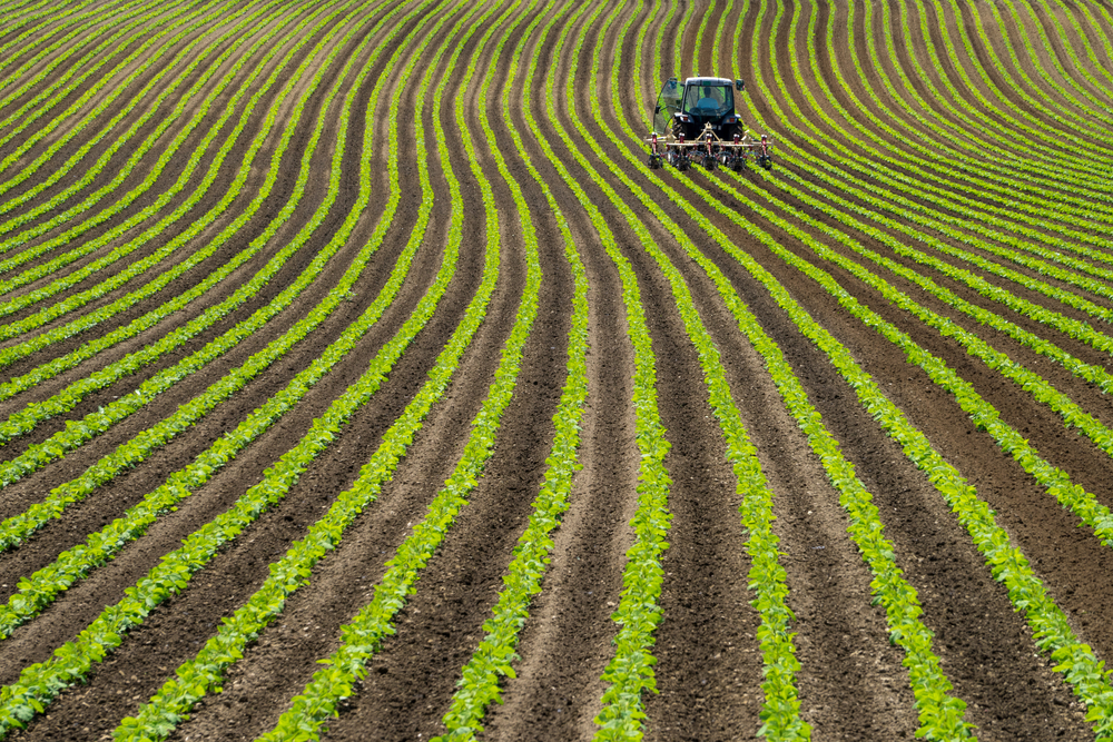 Soy,Bean,Row,Farm,With,A,Tractor,In,Niseko,Hokkaido