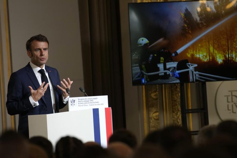 Emmanuel Macron annonce la plantation d'un milliard d’arbres d’ici à 2030