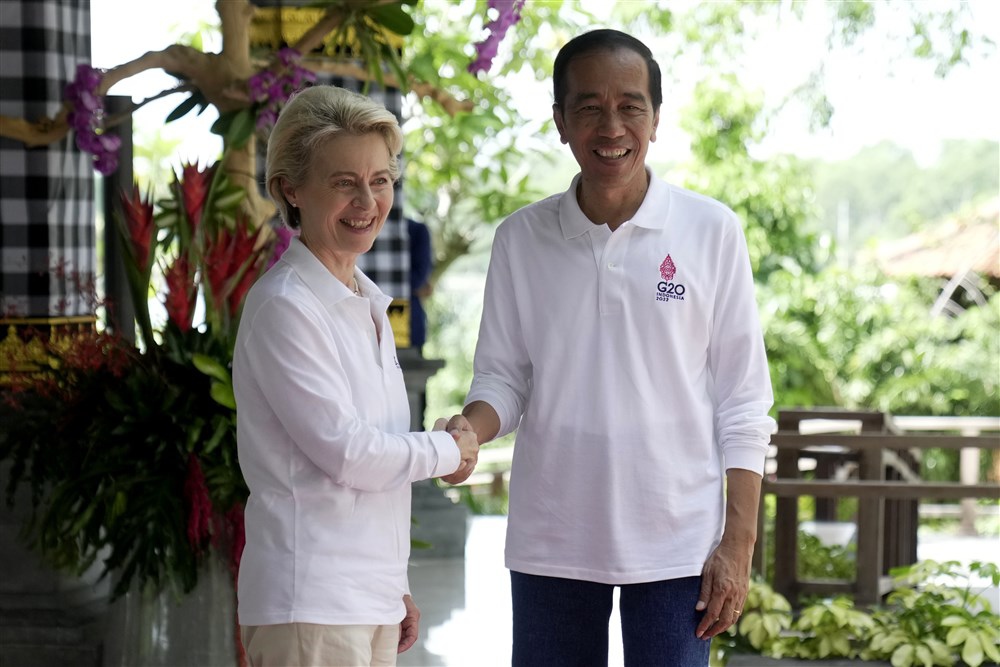 G20 Heads of State and Government Summit in Bali