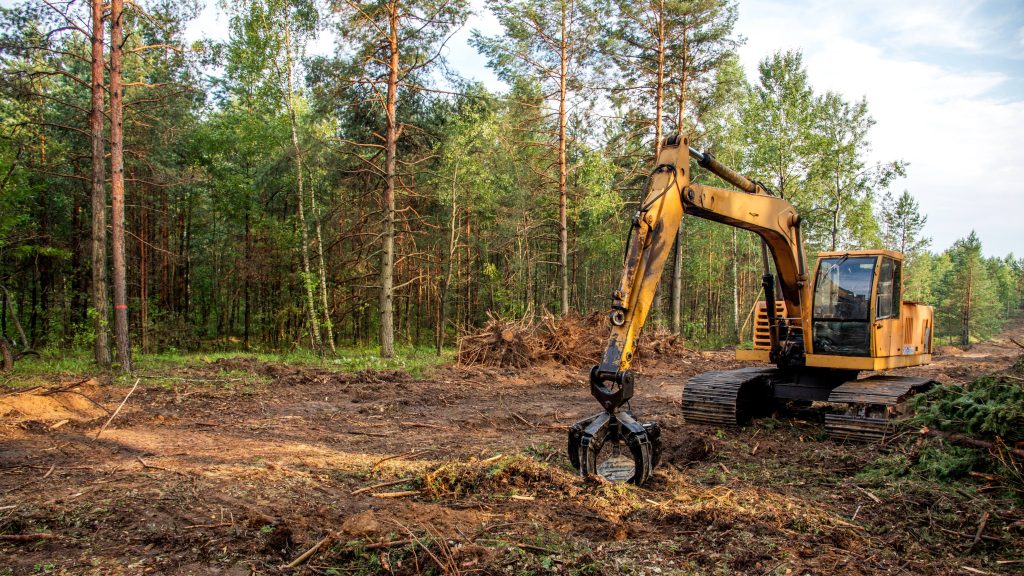 Forestry land use