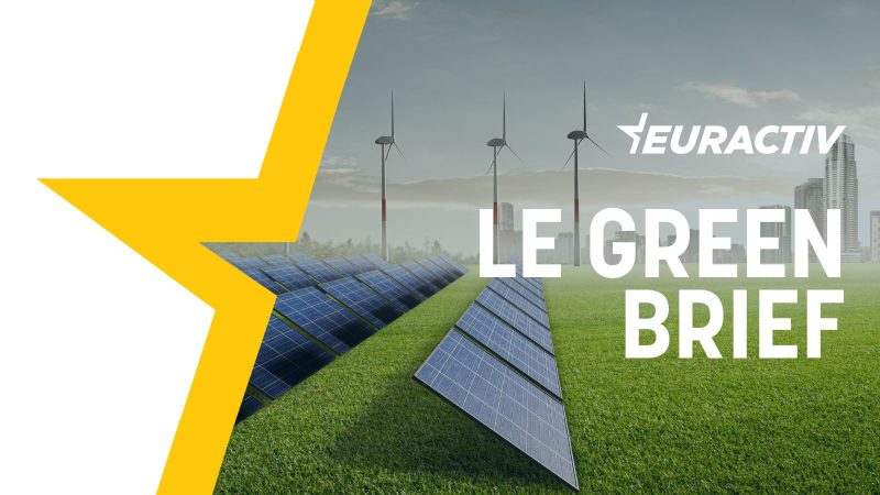 Le Green Brief : la COP28 (déjà) condamnée à l'échec ?