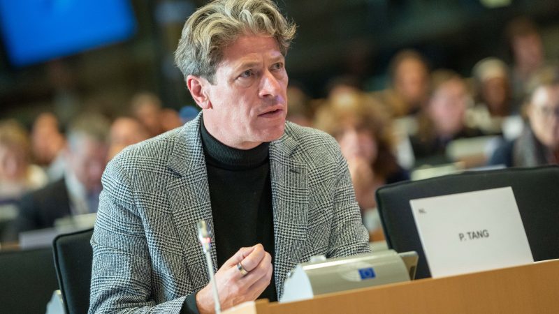 Les obligations liées au développement durable, étoile montante de la finance verte