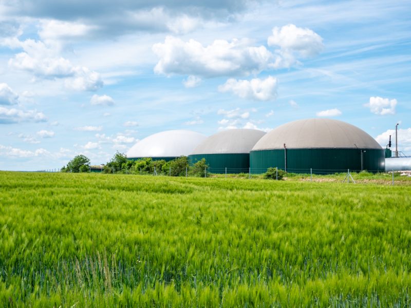 Biogaz : quand crottin et déchets agricoles alimentent l'indépendance énergétique