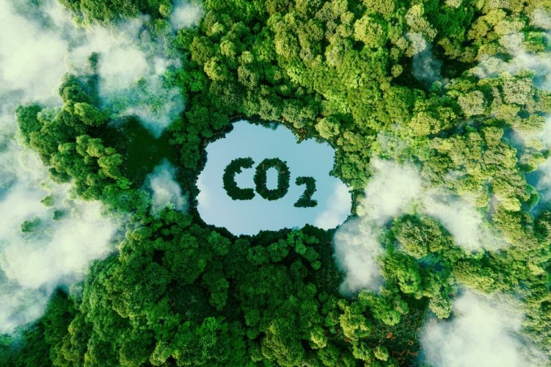 L'UE veut doper le stockage de carbone, craintes de "greenwashing"