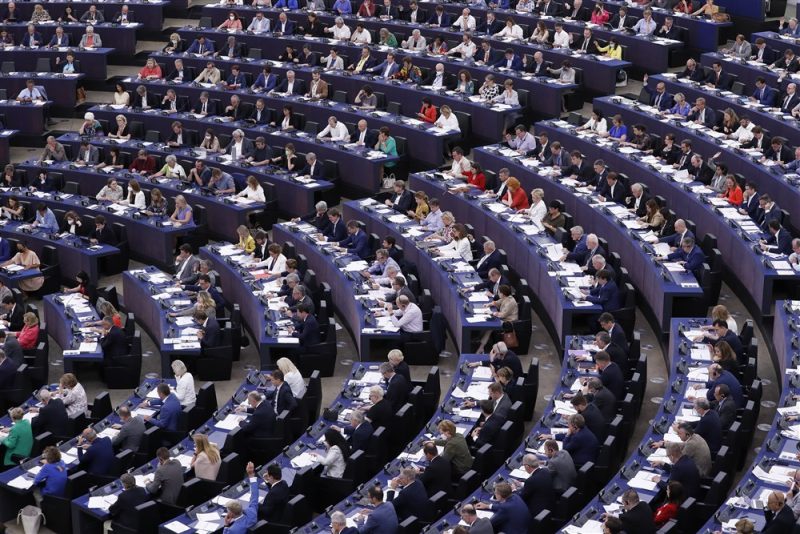 Les Verts espèrent une deuxième « vague verte » aux élections européennes