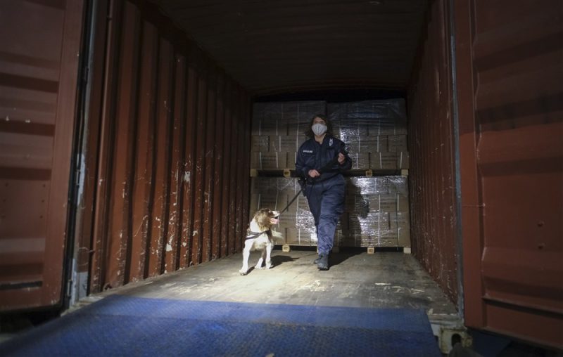 La Belgique et les Pays-Bas deviennent les principales plaques tournantes de l’importation de cocaïne en Europe occidentale