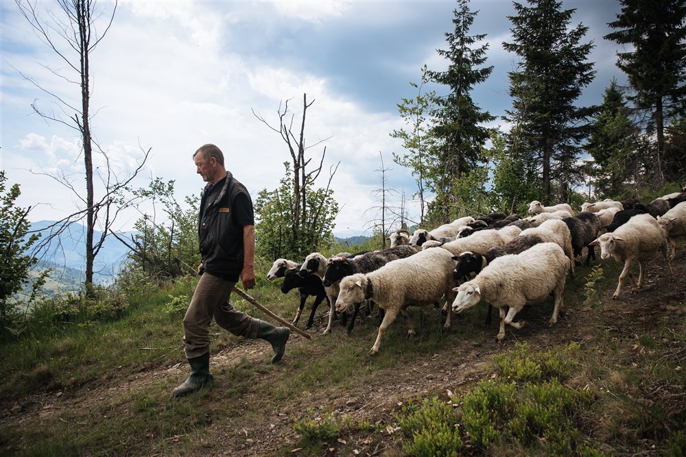 Ukrainian traditional shepherds send-off festival