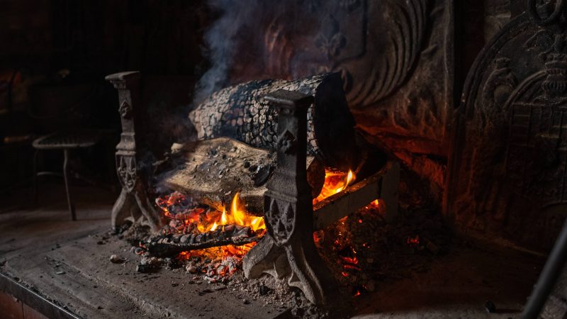 Les États membres de l’UE utilisent le bois de chauffage pour gonfler leurs statistiques sur les énergies renouvelables