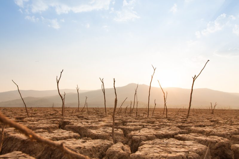 Climat : les huit dernières années ont été les plus chaudes jamais enregistrées