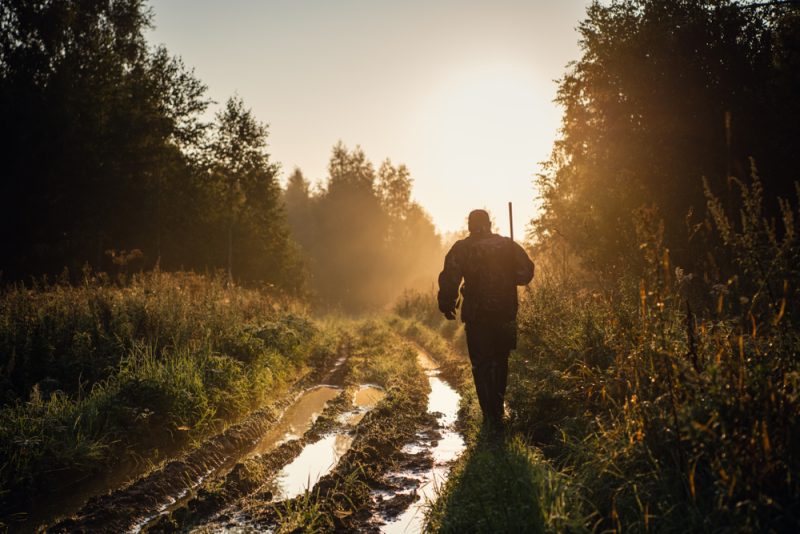 Chasse le dimanche : la France n’est pas une exception en Europe