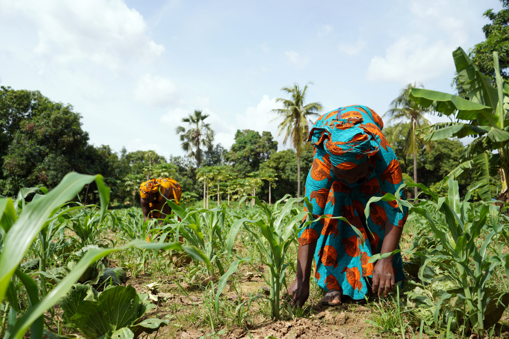 Two,African,Women,In,Traditional,Dresses,Cleaning,Up,An,Extremely