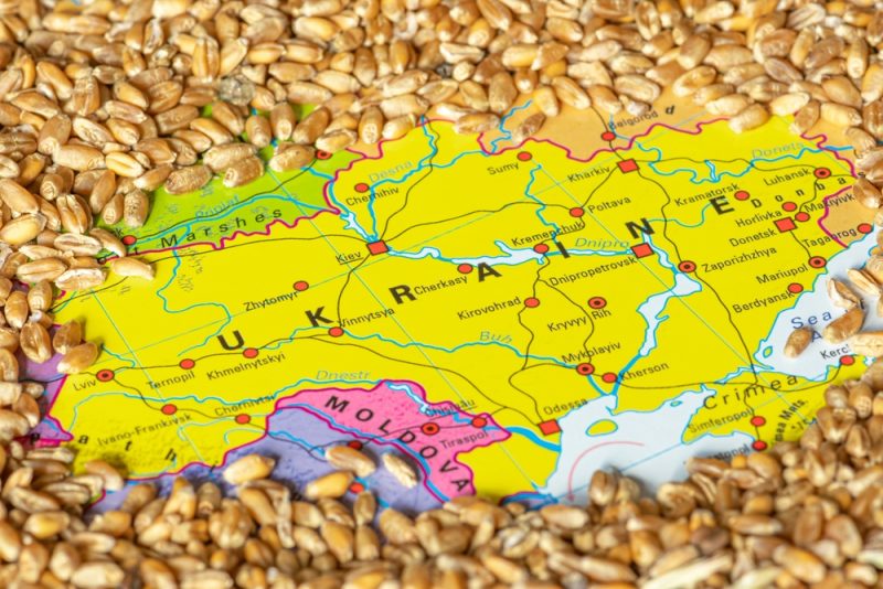 Agriculture : l'UE va réexaminer la suspension des droits de douane avec l'Ukraine