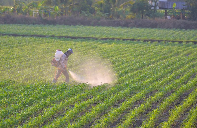 Les lacunes de l’UE permettent l’utilisation de pesticides toxiques interdits