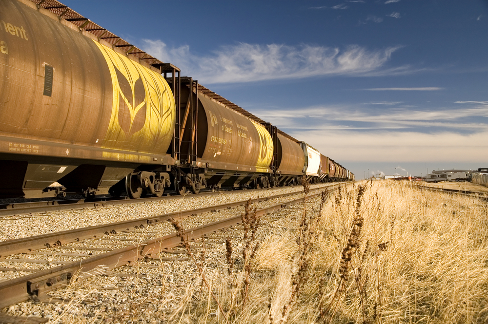 Canadian,Railway,Grain,Cars.