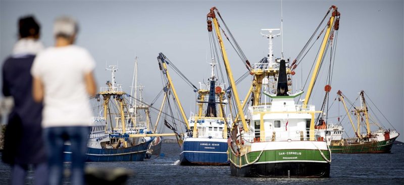 Brexit : au port du Guilvinec, « on a tué la pêche bretonne »