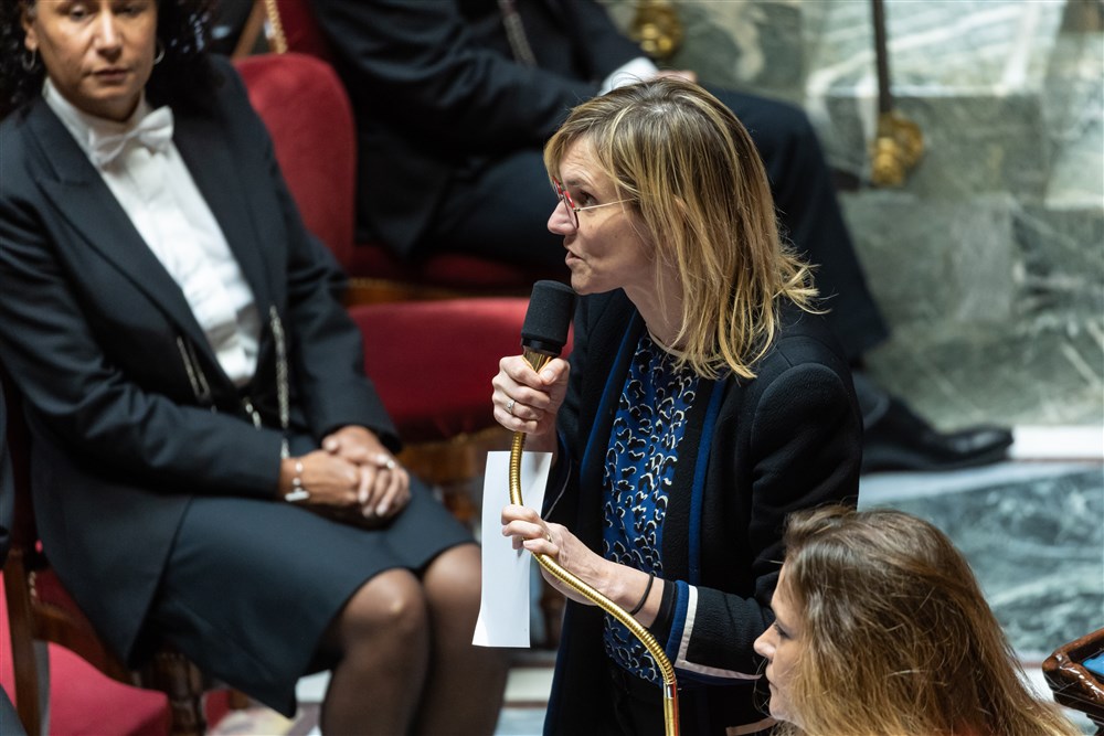 Questions to the government at the national assembly in Paris
