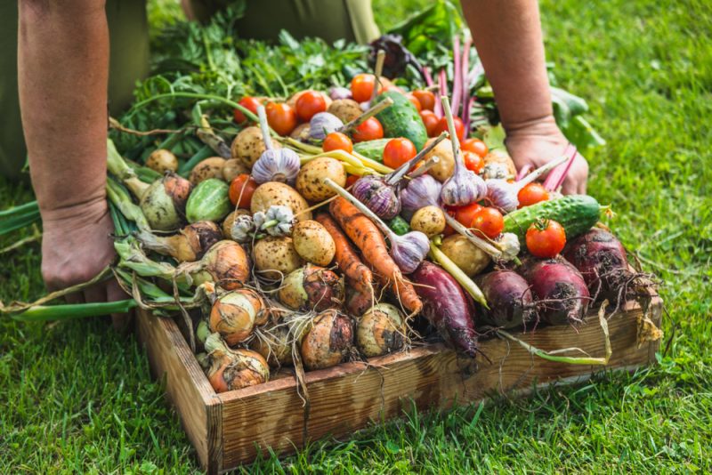 Le gouvernement allemand fait un premier pas vers une agriculture plus biologique