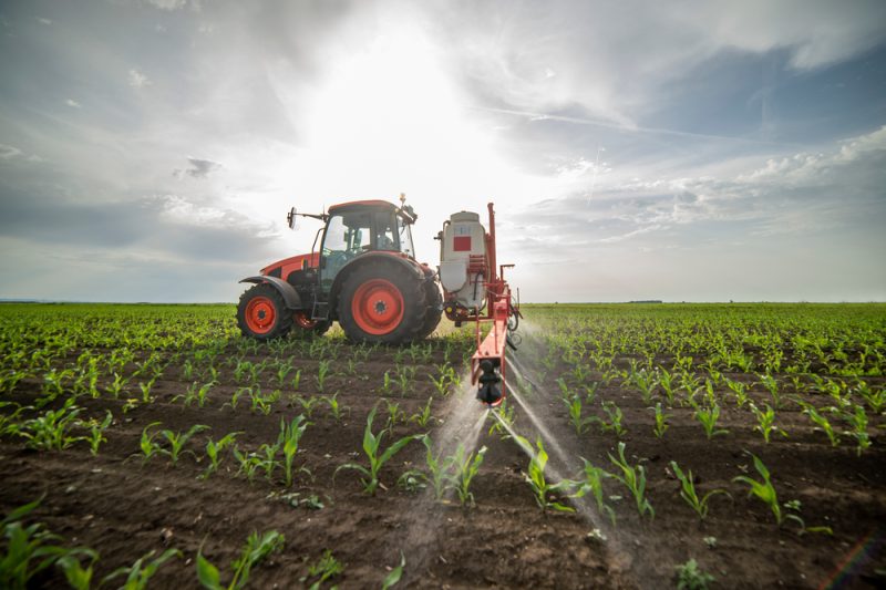 S-métolachlore : vers une possible interdiction de l’herbicide au niveau européen