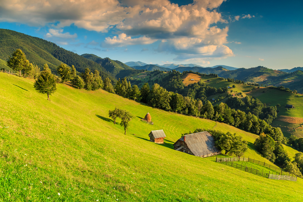 Summer,Alpine,Landscape,With,Green,Fields,And,Valleys,bran,transylvania,romania,europe