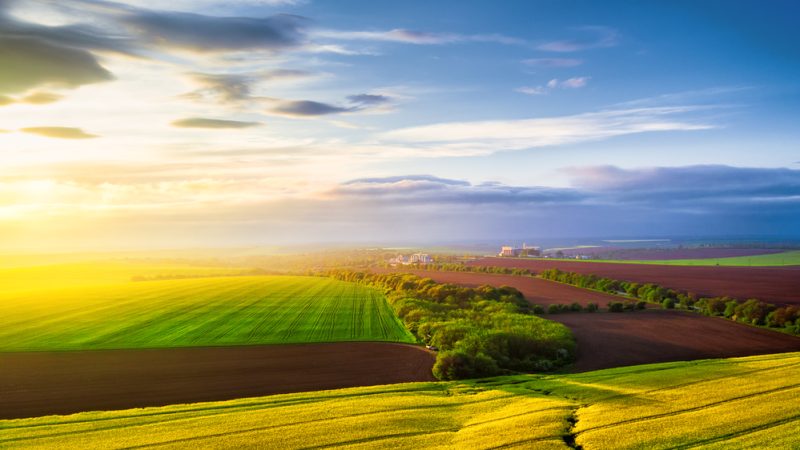 Réduire les pesticides en maintenant les résultats économiques : la protection intégrée peine à s’imposer en France