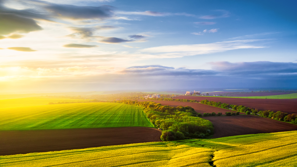 Aerial,View,Over,The,Agricultural,Fields