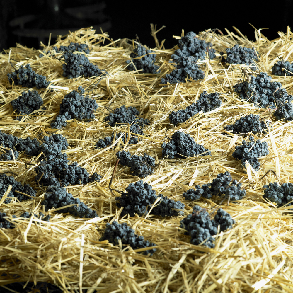 Grapes,Drying,For,Straw,Wine,(neronet)