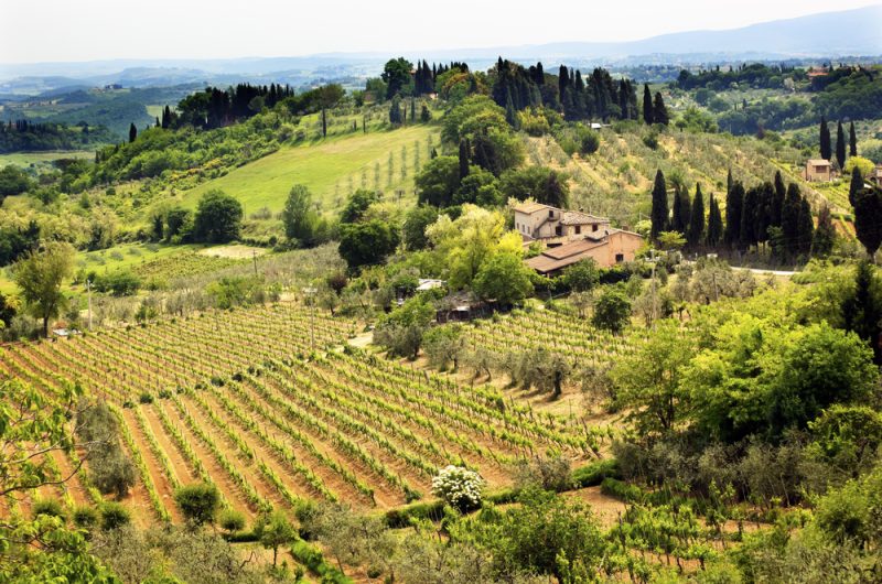 Italie : l’investissement dans la lutte intégrée contre les nuisibles porte ses fruits, selon un expert