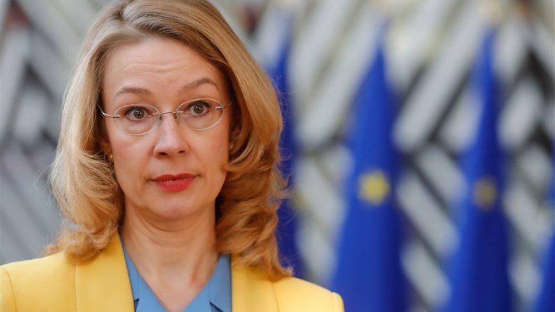 Dette commune : les Verts finlandais sont pour, seuls contre tous