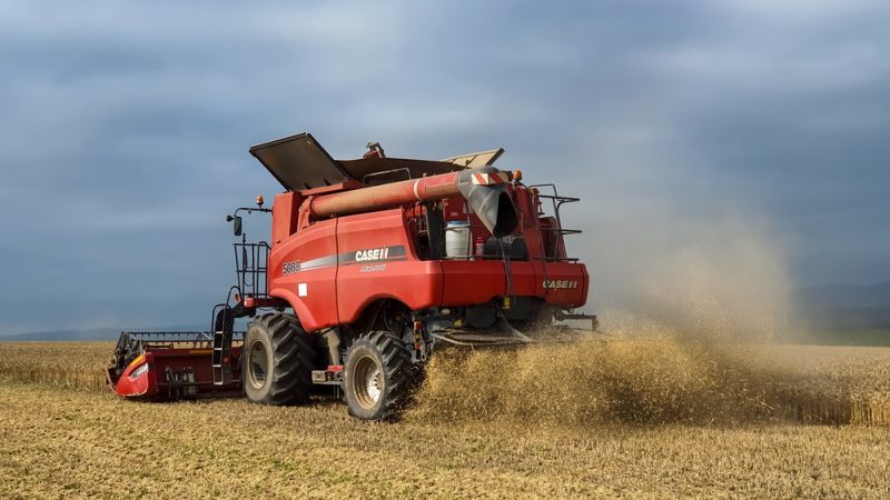 L’agriculture roumaine menacée d'effondrement face aux importations de céréales ukrainiennes