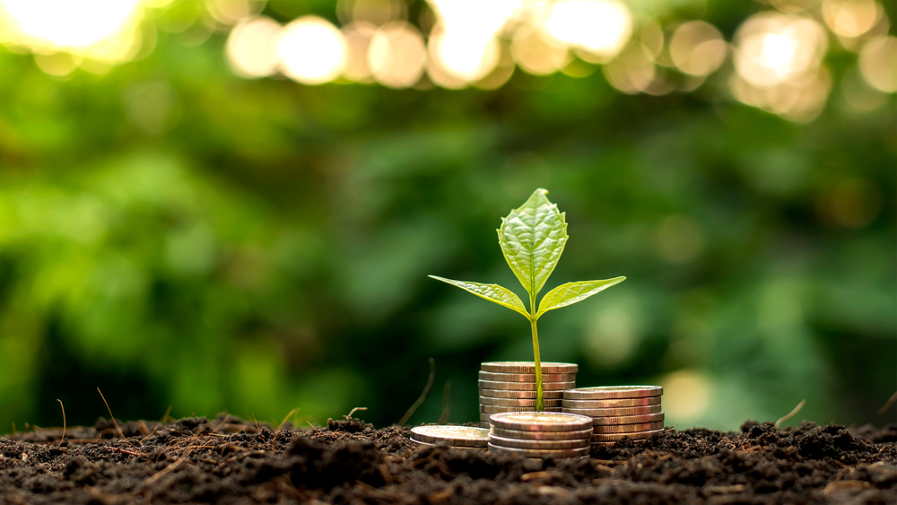 A,Seedling,Growing,On,A,Pile,Of,Coins,Has,A