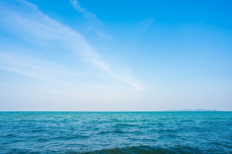 Appels à signer le traité de haute-mer et promesses de fonds pour protéger les océans